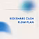 Rideshare Cash Flow Plan