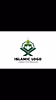 Light of islam