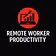 Remote Worker Productivity