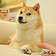 Own the Doge 