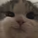 Vedeo
