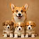 Petcare25