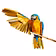 Parrot Mart