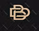 Braey's duke