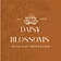 daisysblossoms