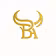 BullAcademy
