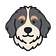 Aira Early Access Community