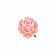 FloraExpress
