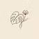 Root & Bloom