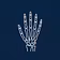 The Trauma Hand
