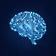 Our Cerebral Successors