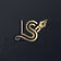 LS Agency