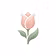 Bloom & Co.