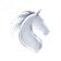 STALLION - Growth for Contractors