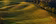 Whop Ads Meta