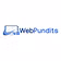 Web Pundits