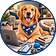 The Modern Dog Parent