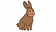 Rabbit Xplain
