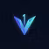 V1sionary