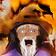 Tech Grimoire