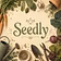 Seedly-web