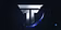TemTik Finance guide