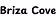 Brizacove