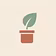The 48-Hour Houseplant Rescue