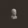 Shelf Sculpt