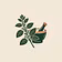 Herbal Remedies