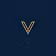 Vinnar Wealth
