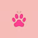 PAW PINK MIAMI