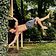 ZaleParisinoFitness