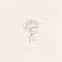 Bloom & Brief