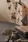 Climbing Wall Guides