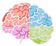 Coloredbrain