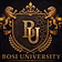 Bosi University
