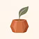 Bloomform