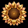 Sunflower Coast Network