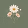 Daisy posy