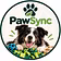 PawSync