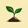 TEAM save the soil