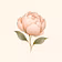 Maison Bloom