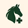 learning safely hourse riding