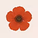 Mellow Poppy