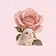 Maison Rose