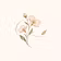 Drift & Bloom