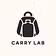 Carry Lab