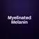 Myelinated Melanin