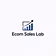 Ecom Sales Lab